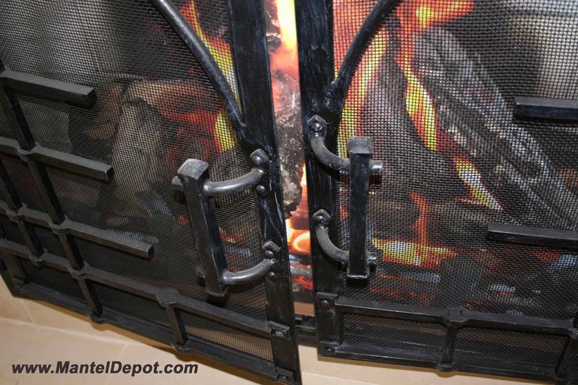 Fireplace Door FD007 Close Up