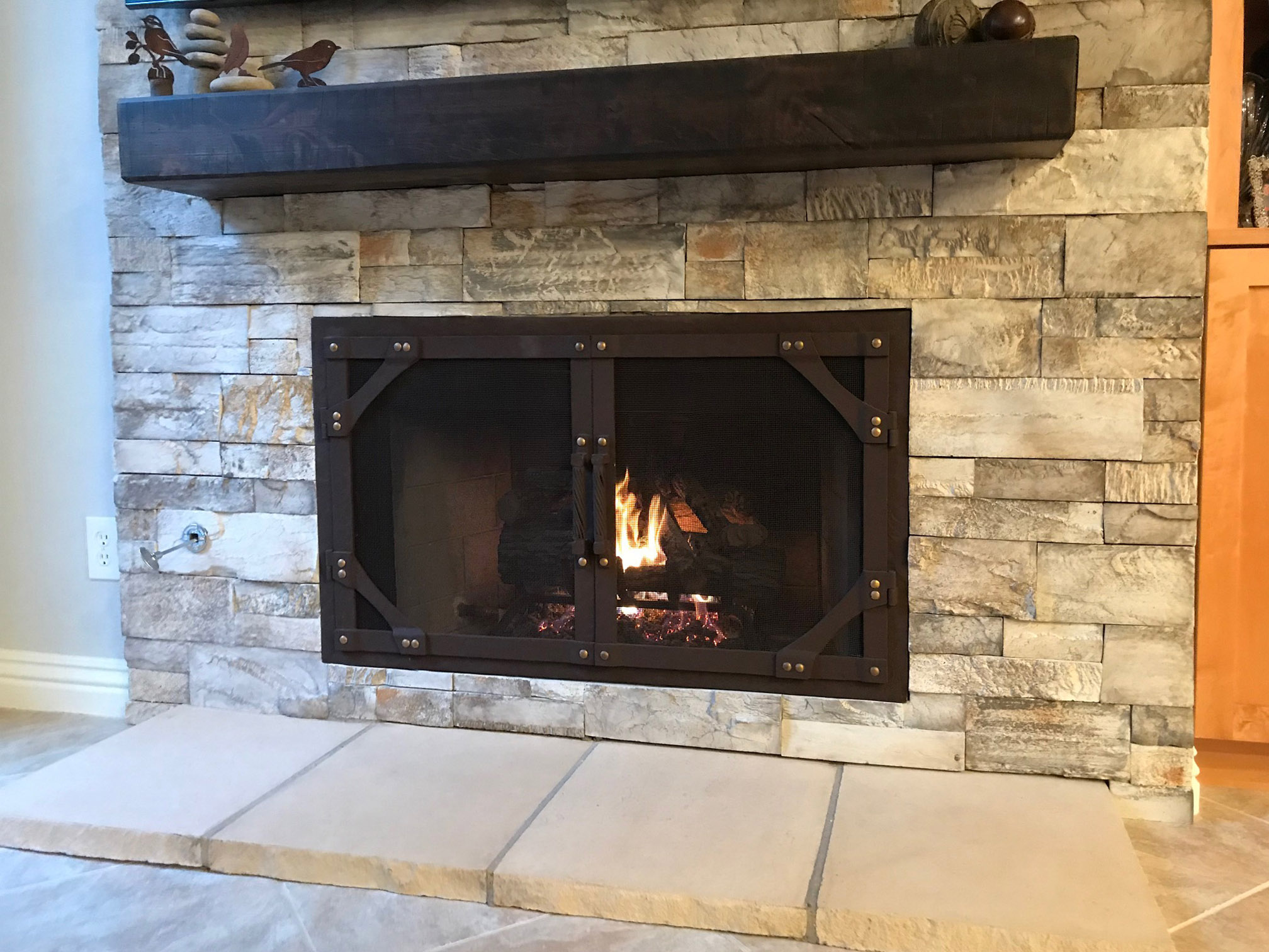 Fireplace Door FD0102