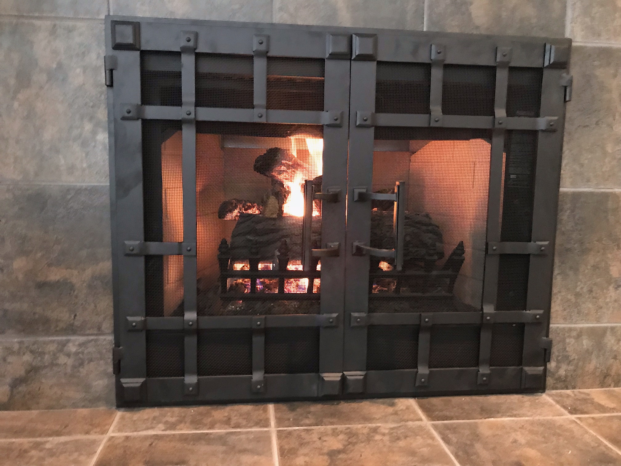 Hand forged wrought iron Fireplace Door FD0110